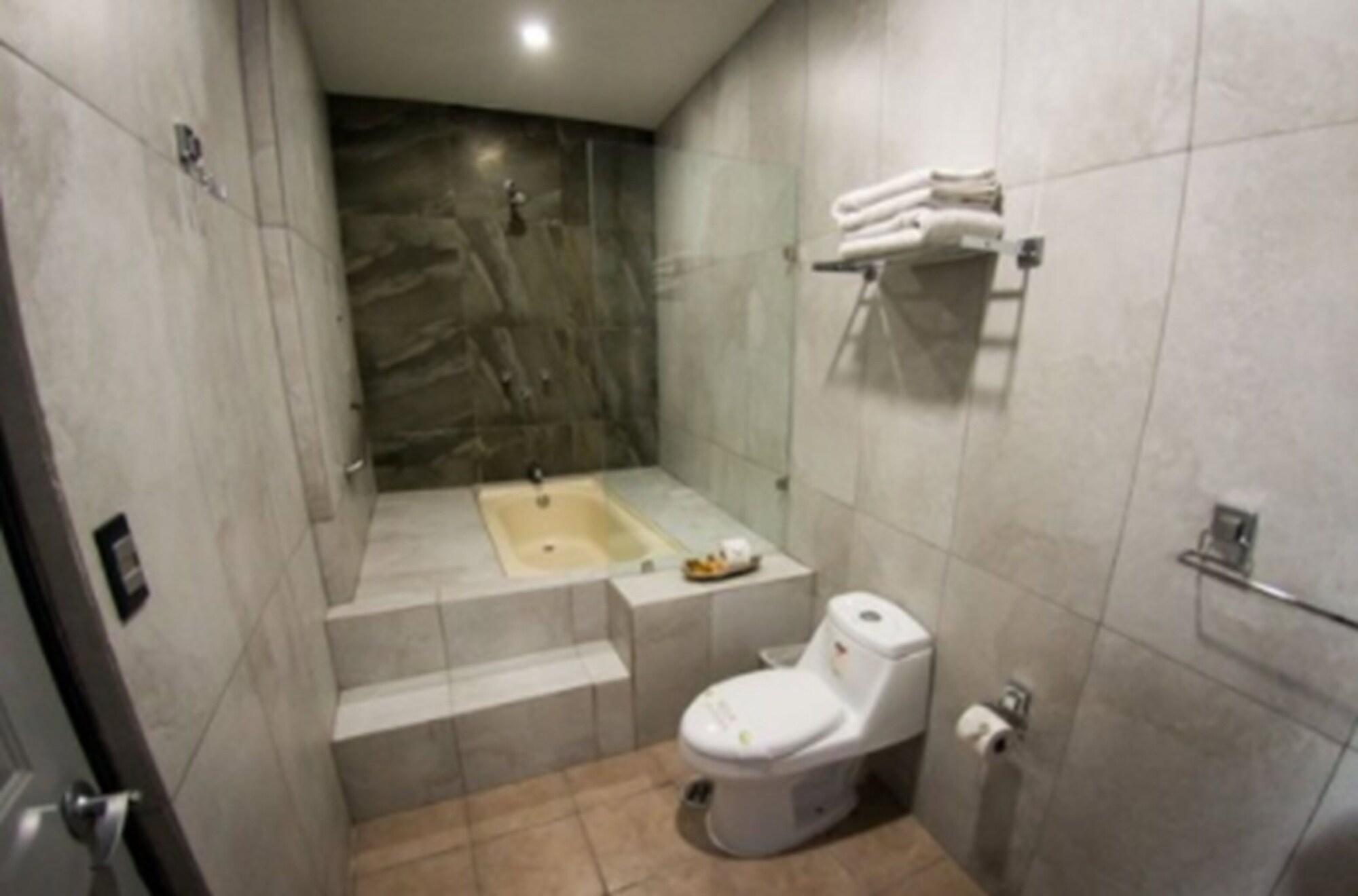 Hotel Real Azteca Boulevard 莱昂 外观 照片